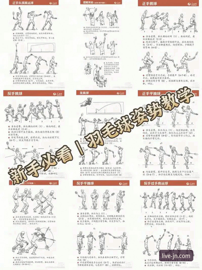 江南体育使用教程到底是什么？从入门到精通需要几步？